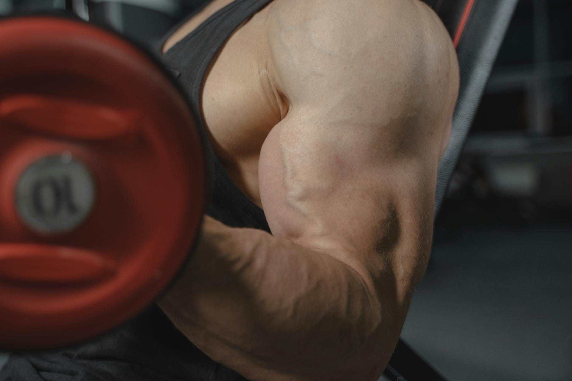Muscular arms and veins post supplement cycle